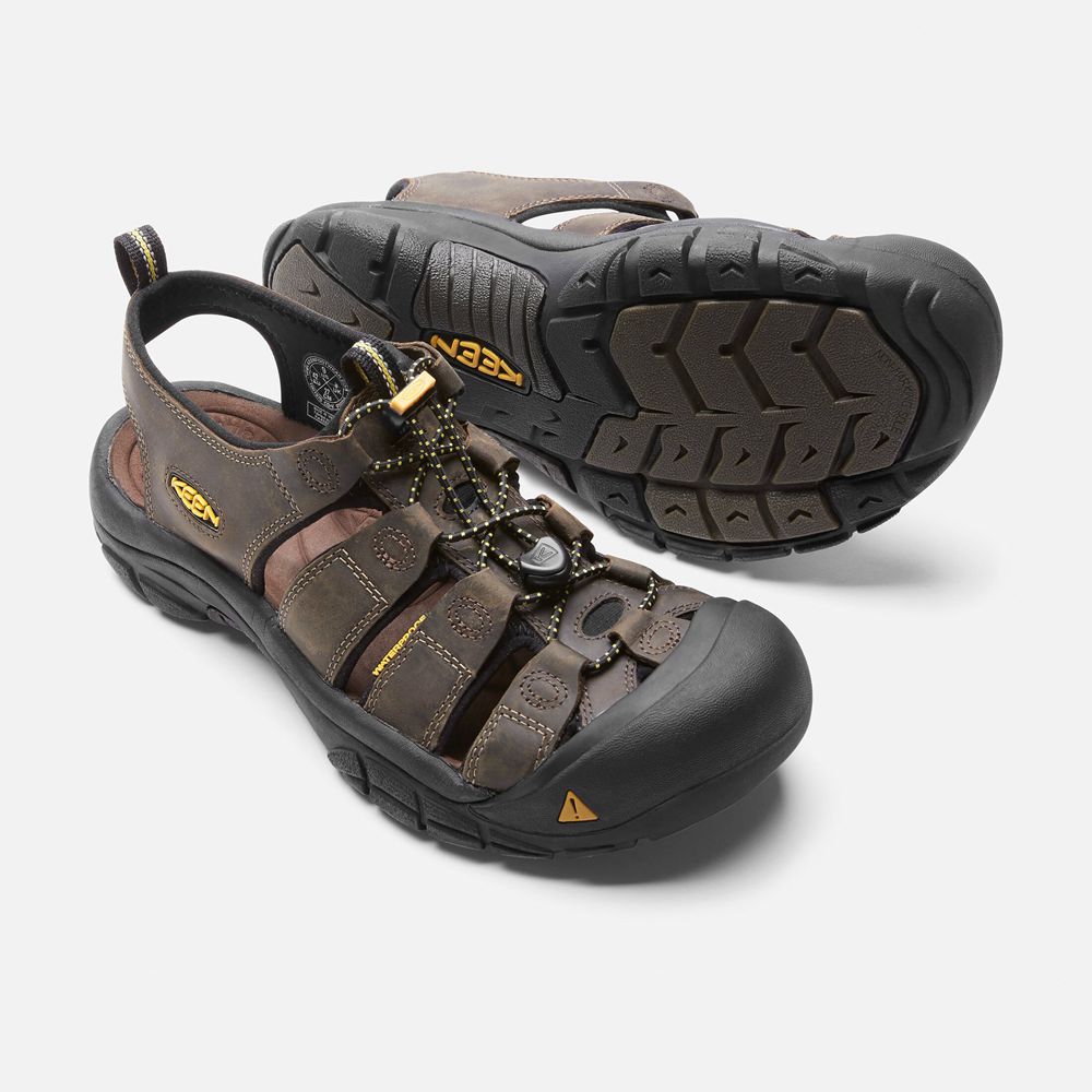 Sandales de Randonnée Keen Homme Marron/Noir | Newport | POAZD-2097